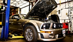 Mustang Repair Service